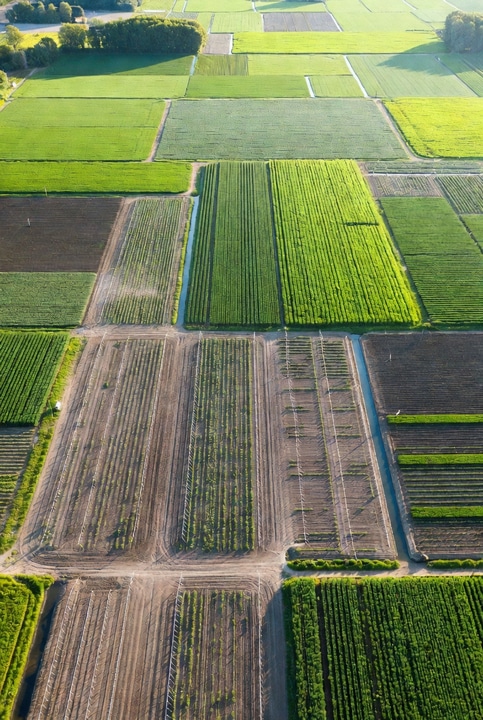 Crop Suitability AI